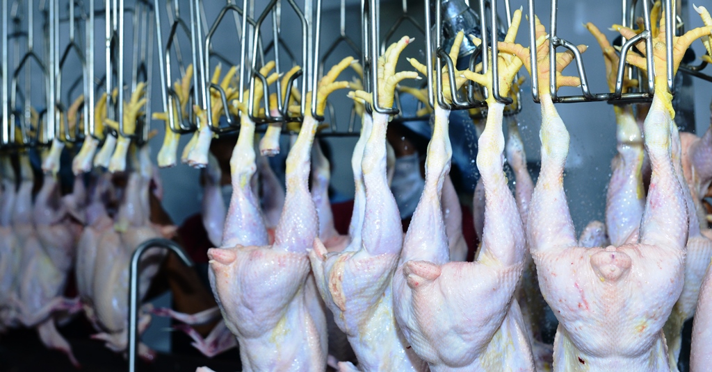 Thumbnail Placeholder